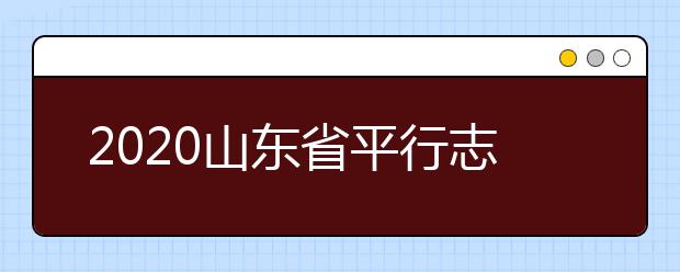 2020山東省平行志愿怎么報？平行志愿分幾類？