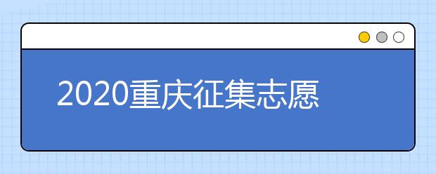 2020重慶征集志愿填報注意事項是什么？